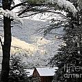 snow topped roof